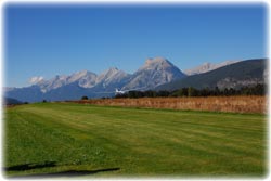 zv�t�it na 800x600